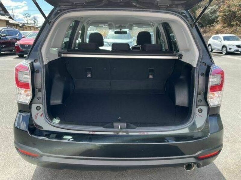 FORESTER-9