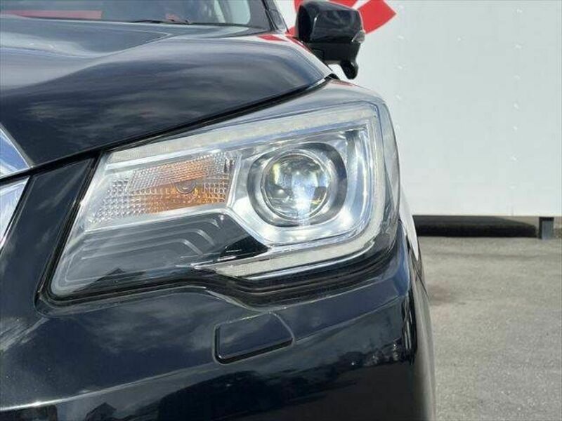FORESTER-11