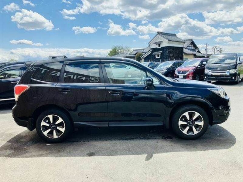 FORESTER-16