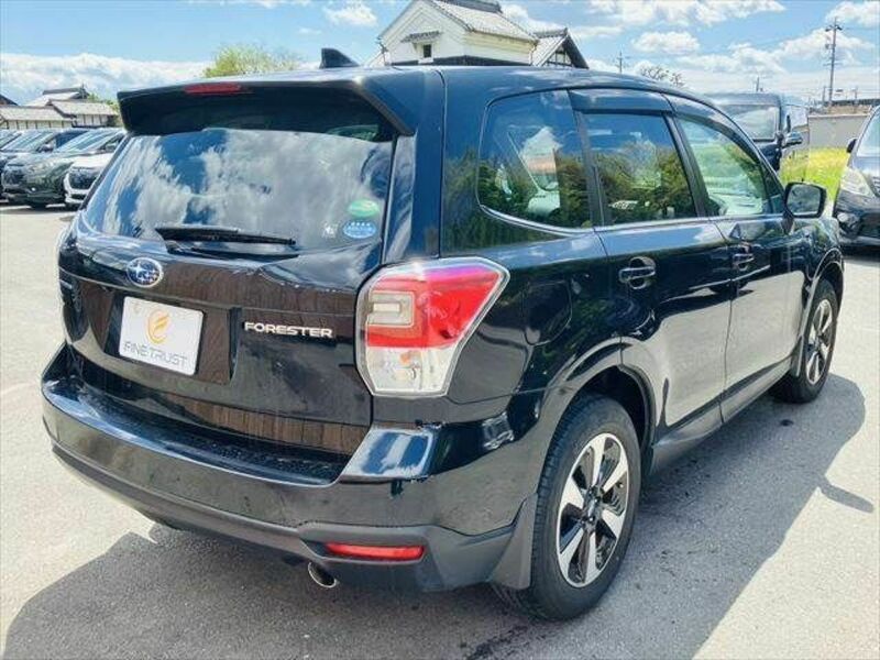 FORESTER-17