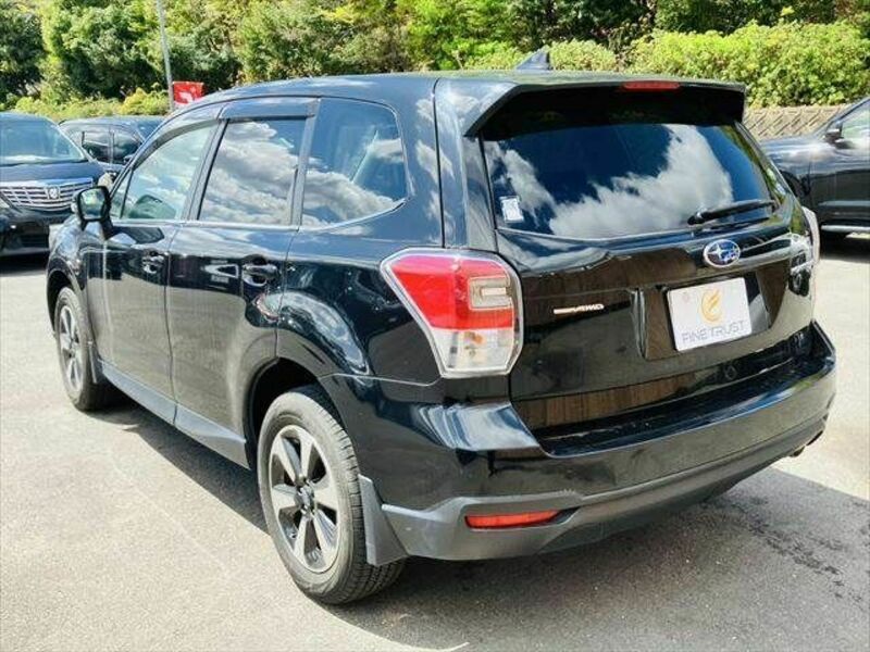 FORESTER-19