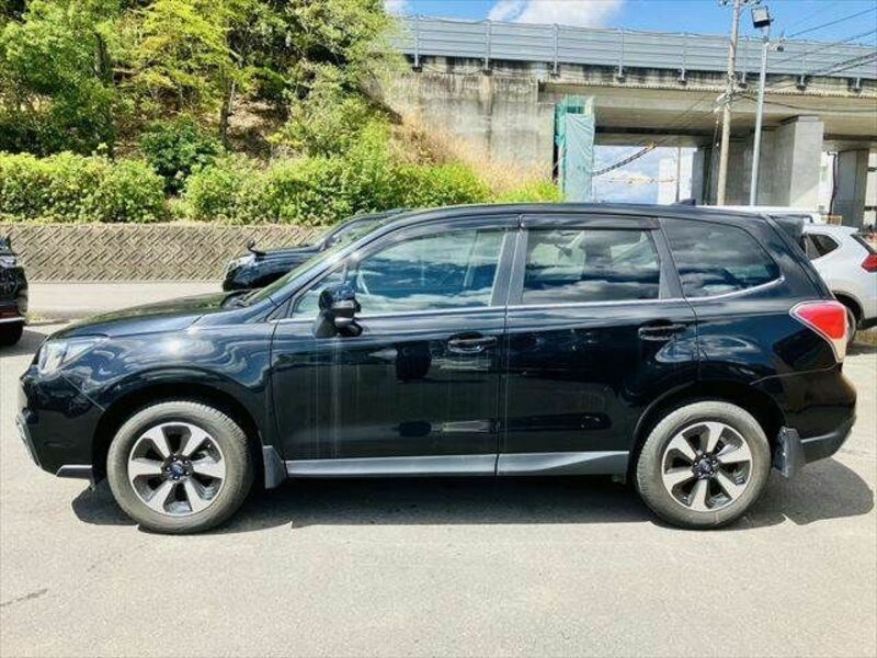 FORESTER-20