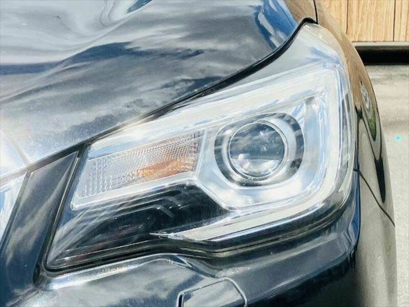 FORESTER-21