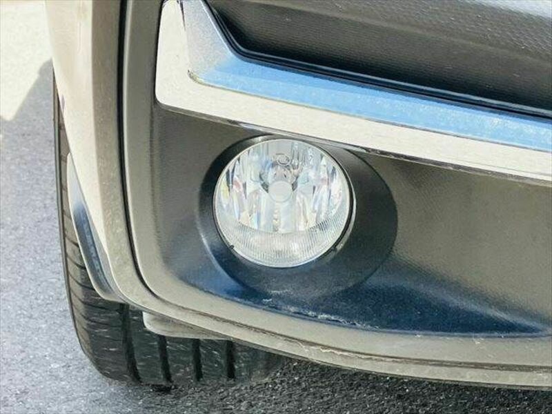 FORESTER-24