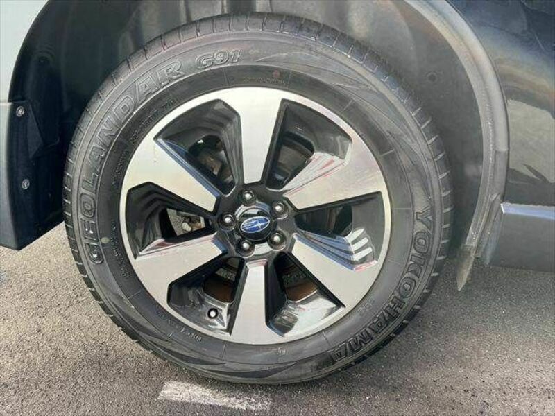FORESTER-27