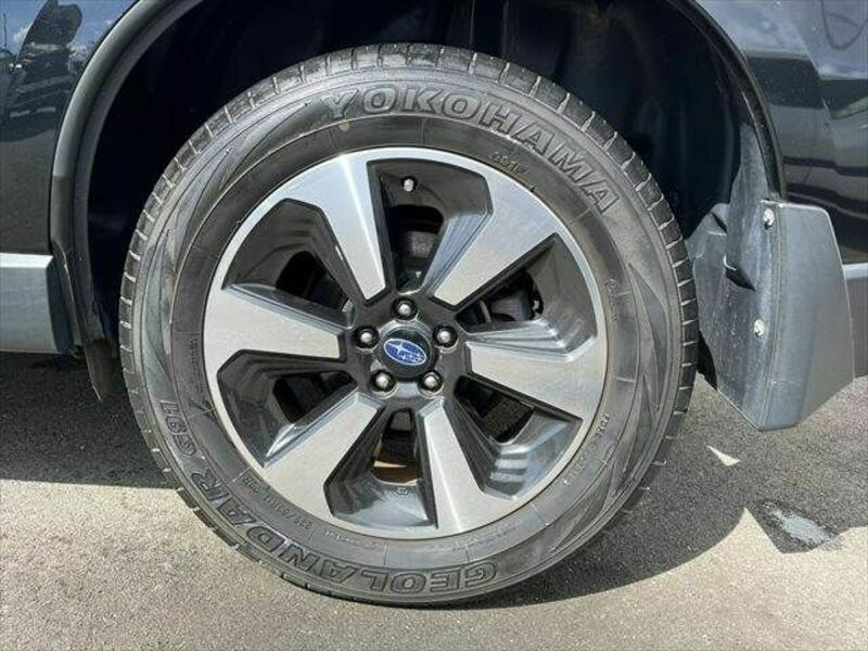 FORESTER-28