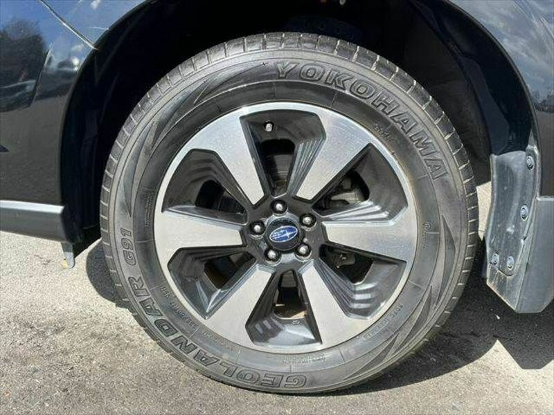 FORESTER-29