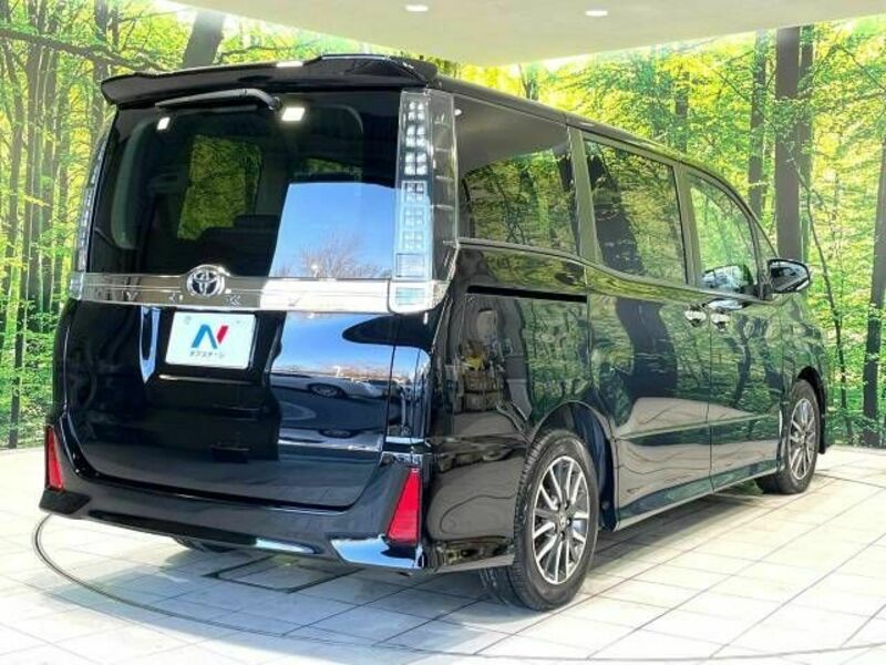 VOXY-17