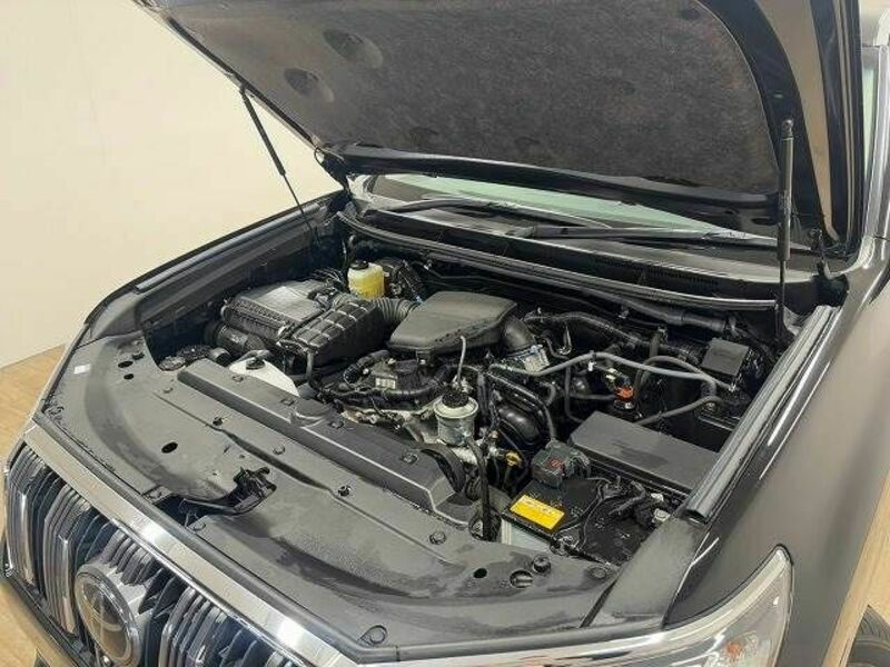 LAND CRUISER PRADO-17