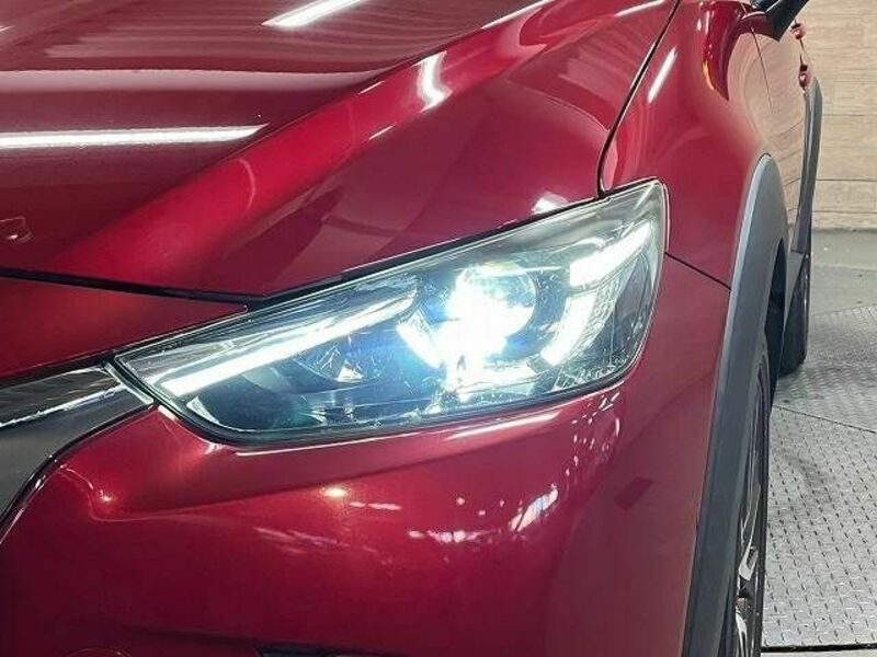 CX-3-10