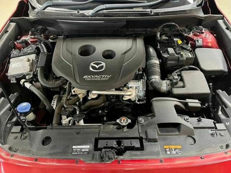 CX-3-12