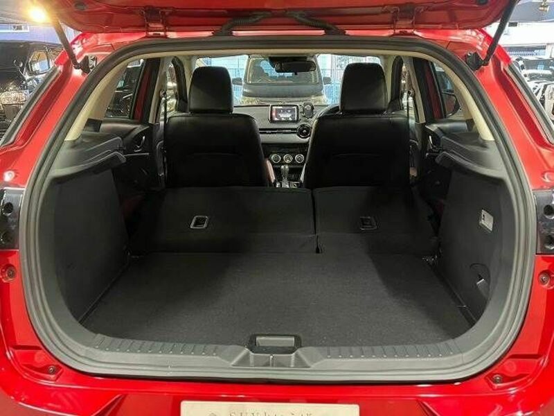CX-3-19