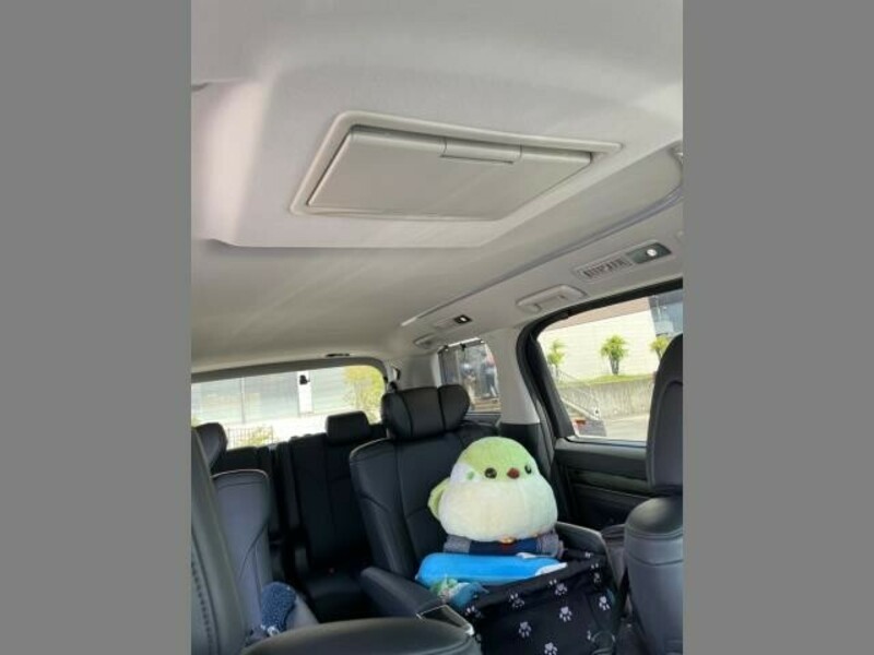 ALPHARD-5