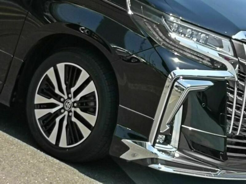 ALPHARD-7