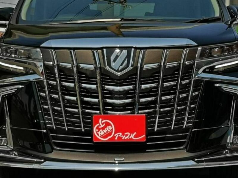ALPHARD-8