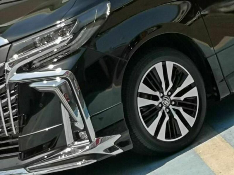 ALPHARD-9
