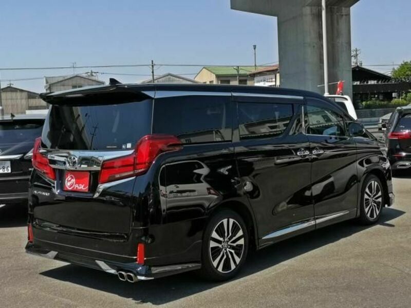 ALPHARD-10