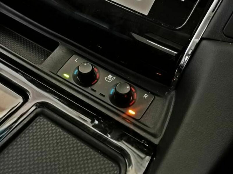 ALPHARD-15