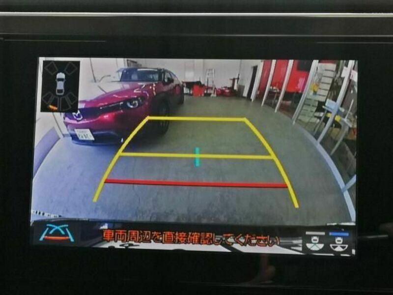 ALPHARD-17