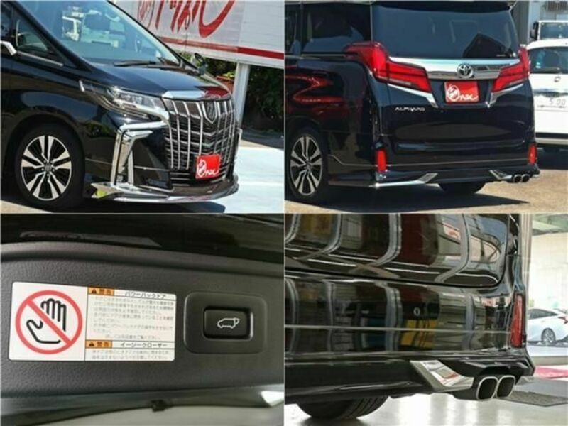 ALPHARD-21