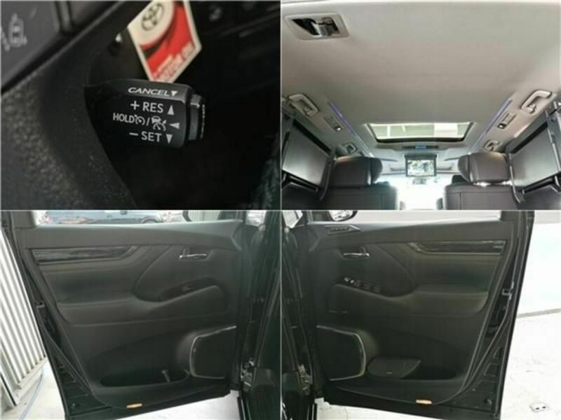 ALPHARD-28