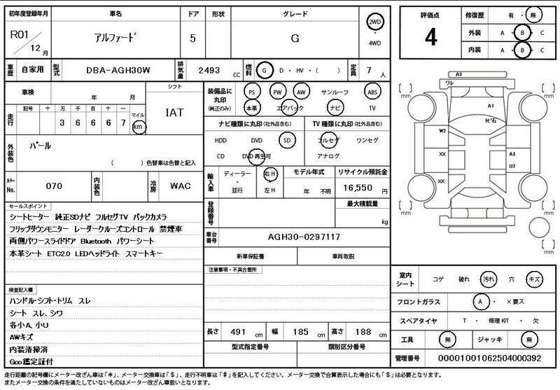 ALPHARD-10
