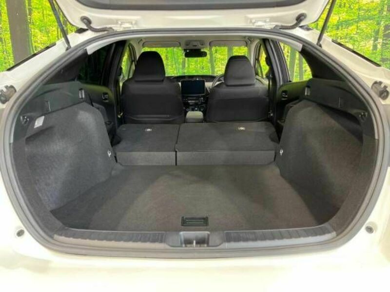 PRIUS-9