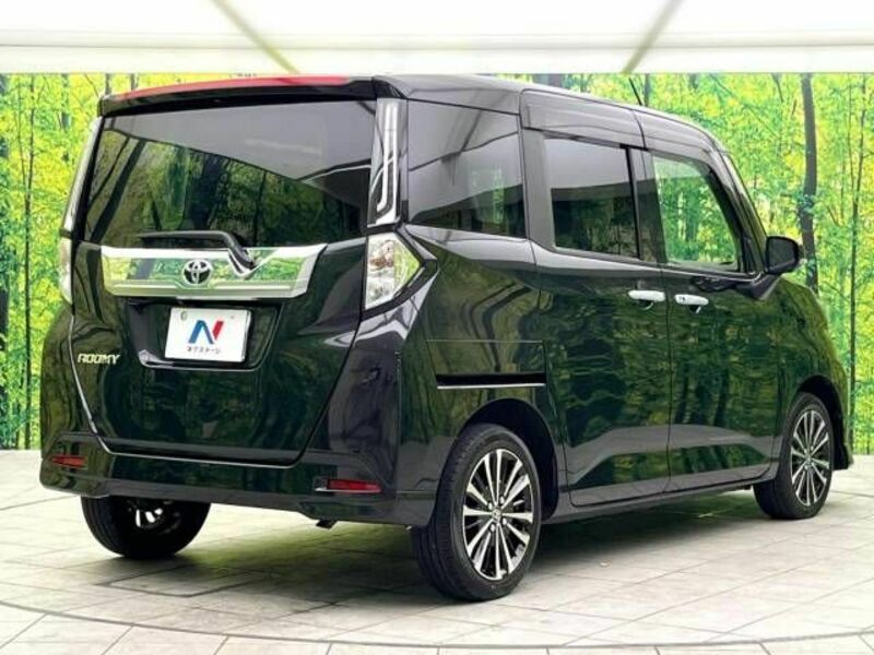 ROOMY-17