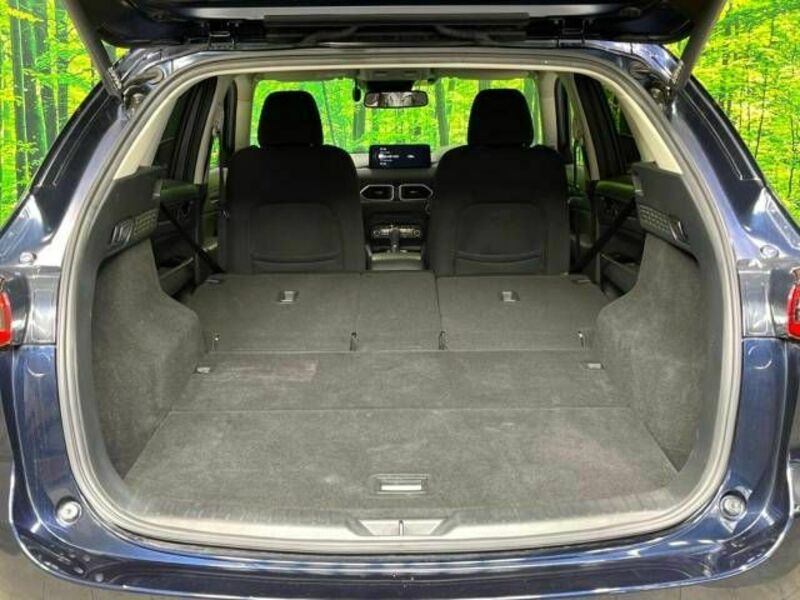 CX-5-10