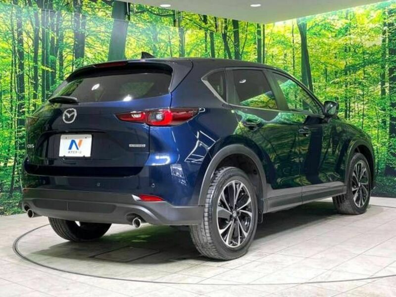 CX-5-17