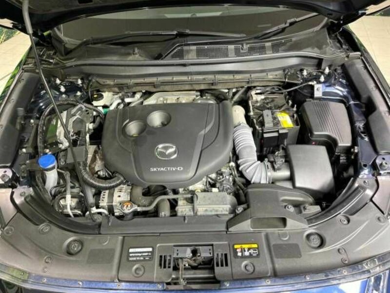 CX-5-18