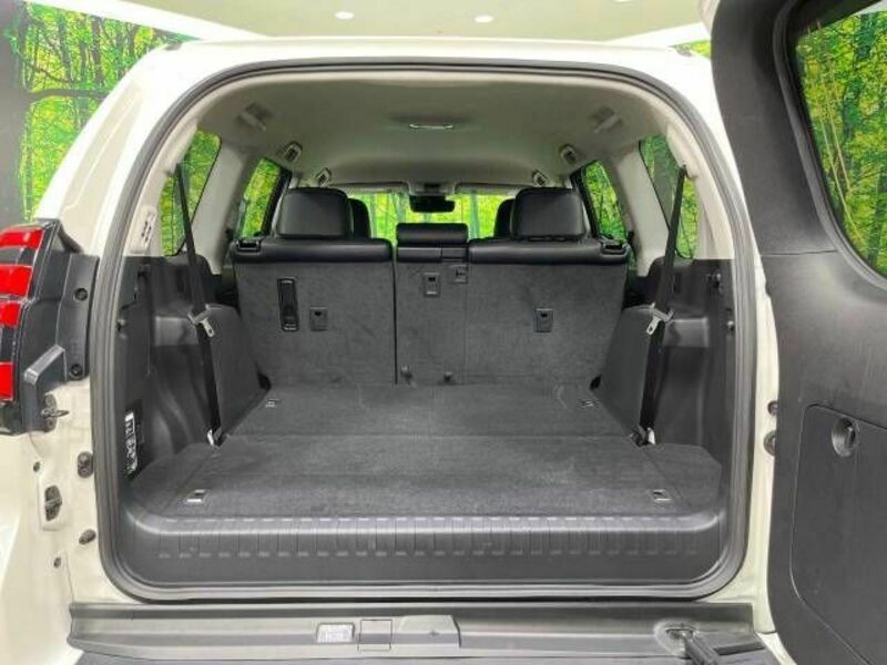 LAND CRUISER PRADO-10
