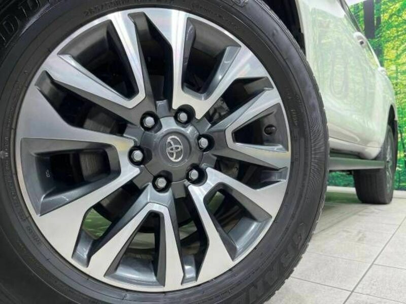 LAND CRUISER PRADO-12