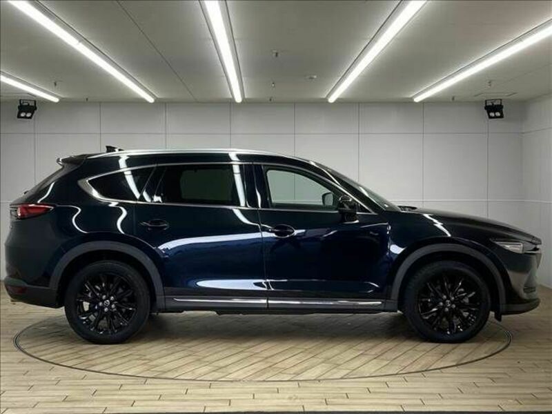 CX-8-16