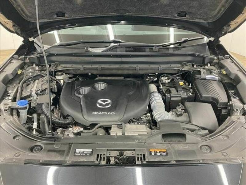 CX-8-17