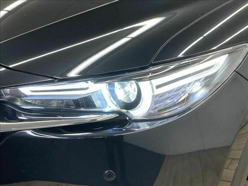 CX-8-19