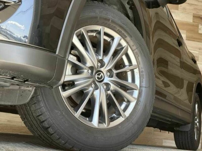 CX-5-18