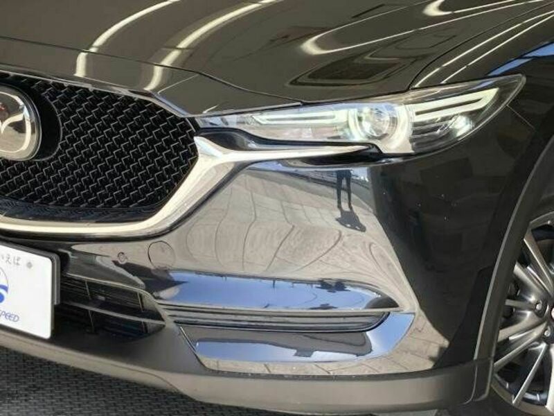 CX-5-19