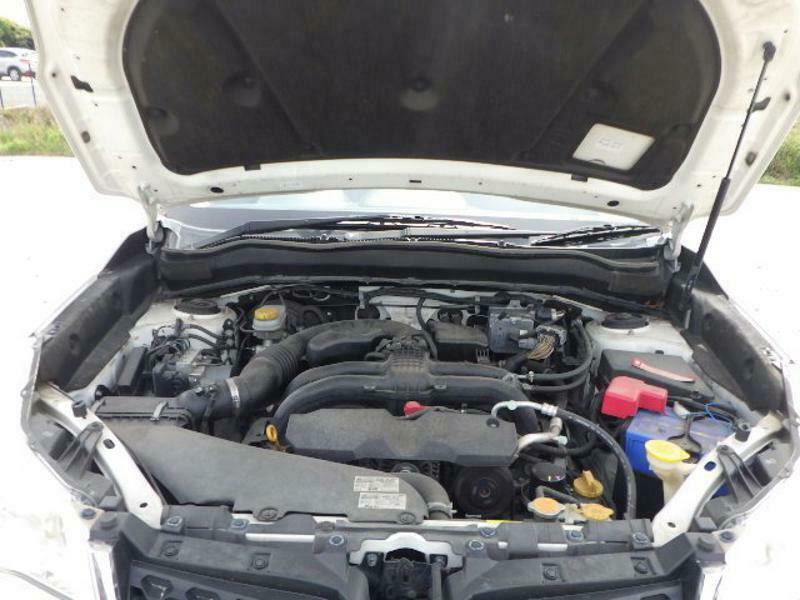 FORESTER-1