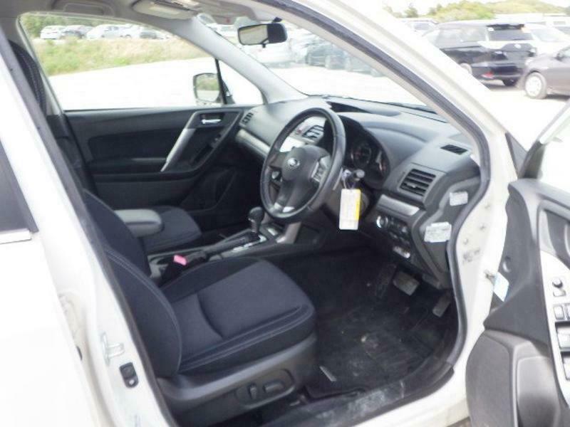 FORESTER-3