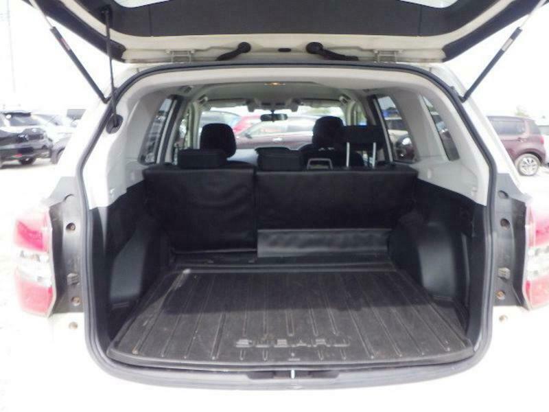 FORESTER-5