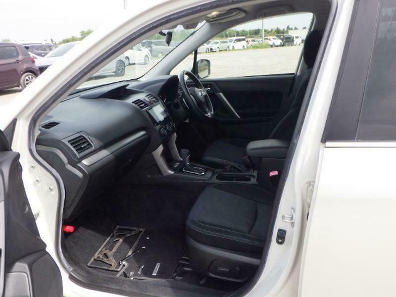FORESTER-8