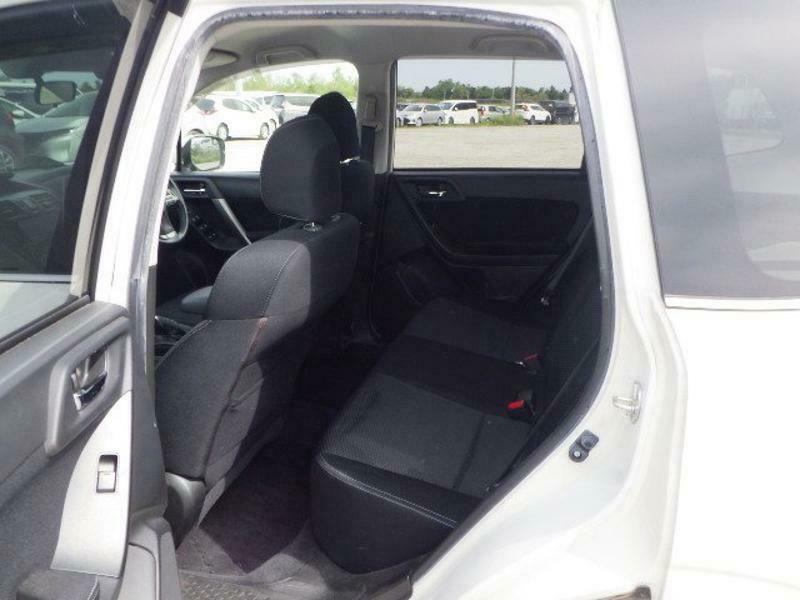 FORESTER-10