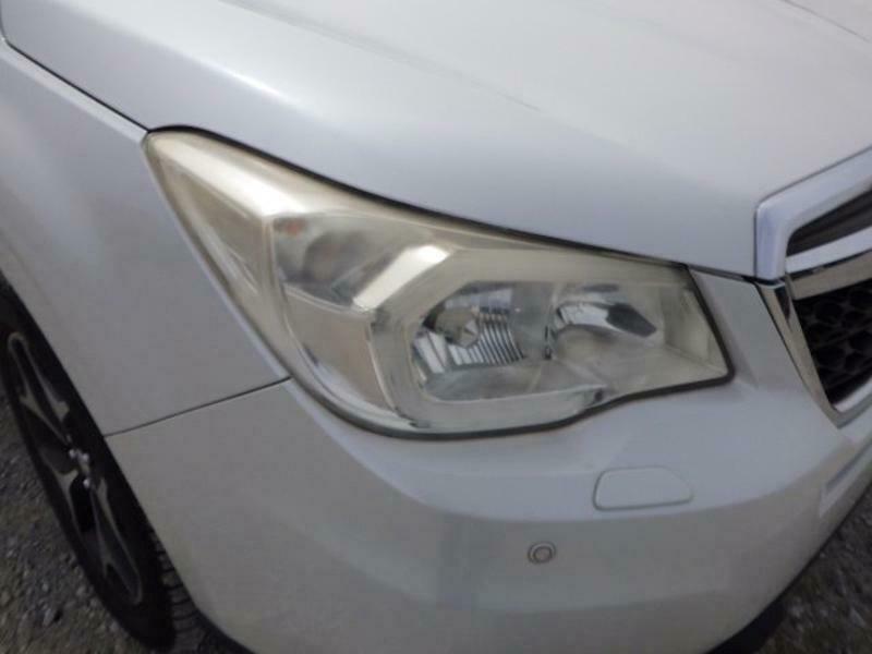 FORESTER-12