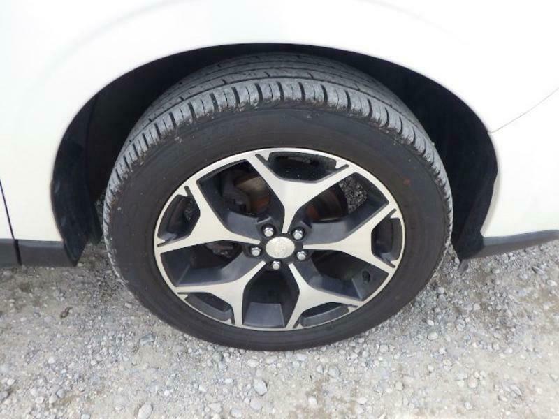 FORESTER-13