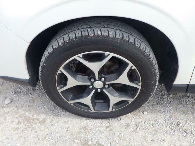 FORESTER-14