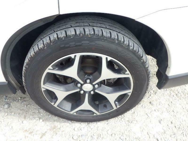 FORESTER-15