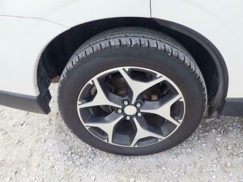 FORESTER-16