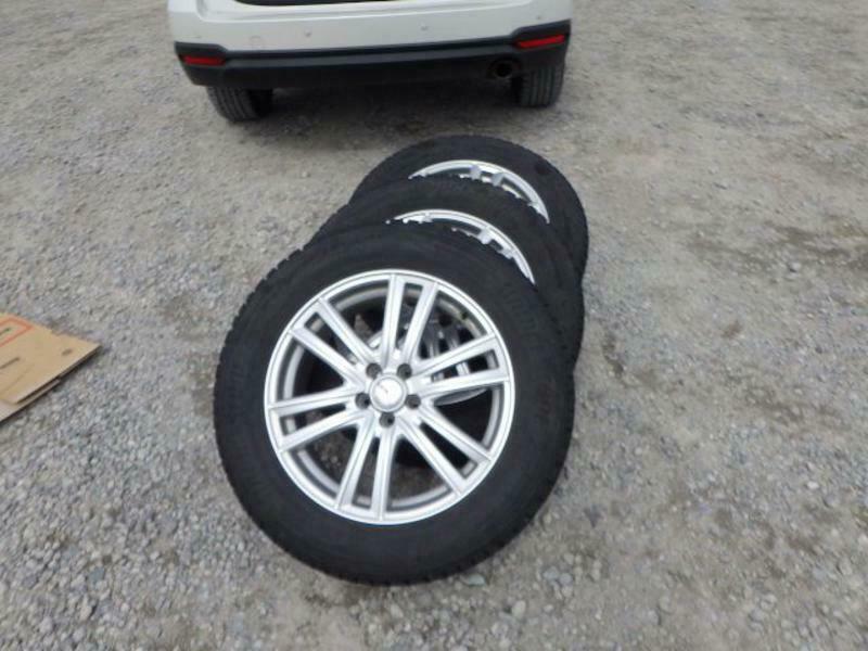 FORESTER-29
