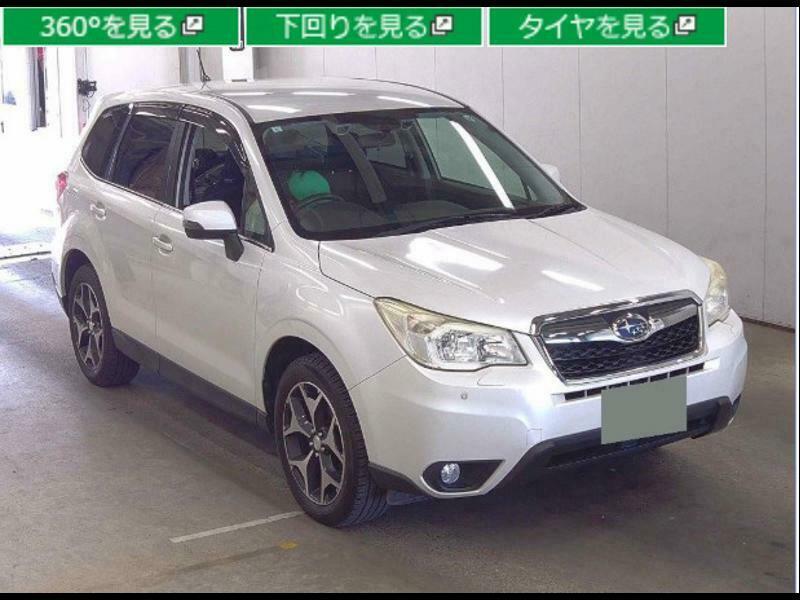 FORESTER-33
